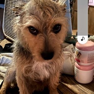 Meet your Posher, Kisston